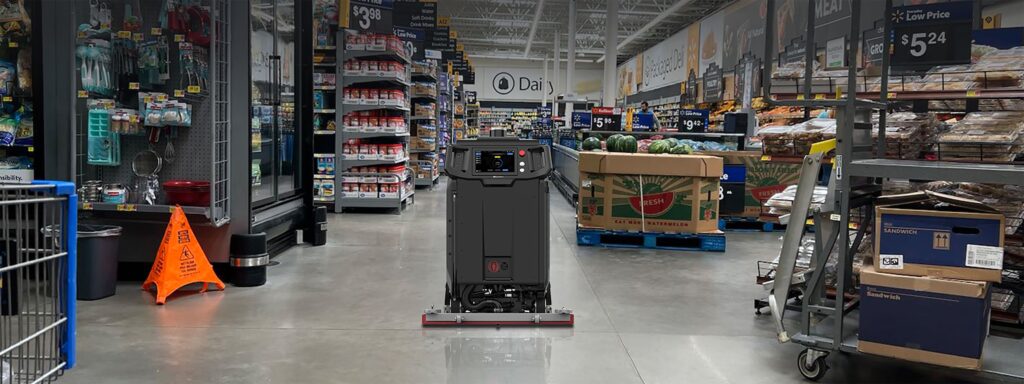 cenobots